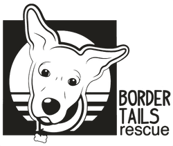 Black and white illustration of a dog with 'Border Tails Rescue' text