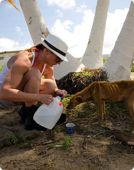 Person in a white hat and sunglasses pouring water from a jug into a blue cup for a dog outdoors.